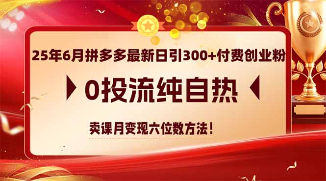 25年6月拼多多最新日引300+付费创业粉，0投流纯自热 卖课月变现六位数方法-点点短视频网