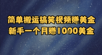 简单搬运搞笑视频挣美金，新手一个月入1k美金-点点短视频网