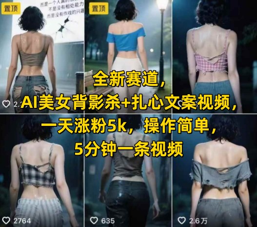 全新赛道，AI美女背影杀+扎心文案视频，一天涨粉5k，操作简单，5分钟一条视频-点点短视频网