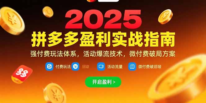 拼多多盈利实战指南，强付费玩法，活动爆流技术，微付费破局方案(更新7月-点点短视频网