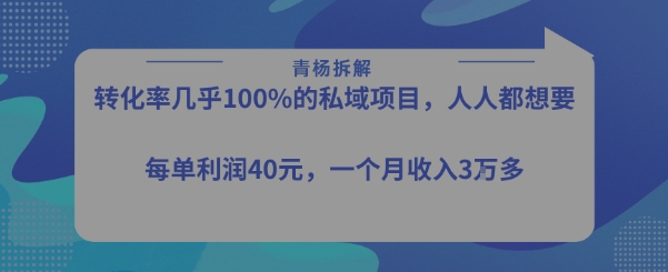 转化率最高的私域项目，每单利润40-50米，月入过1w-点点短视频网