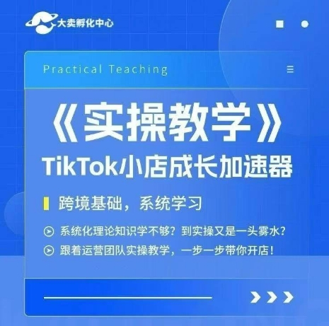 大卖家孵化中心TikTok实操课，TikTok小店成长加速器，跨境基础系统学习，一步一步带你开店-点点短视频网
