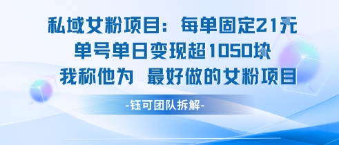 私域女粉项目：每单固定21块，单日变现超1k+，最好做的女粉项目-点点短视频网