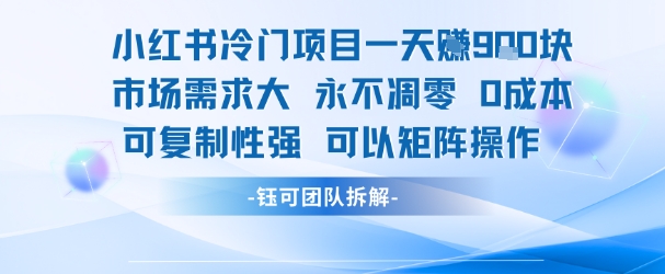 小红书冷门项目一天收益9张，市场需求大，0成本，可复制性强可以矩阵操作-点点短视频网
