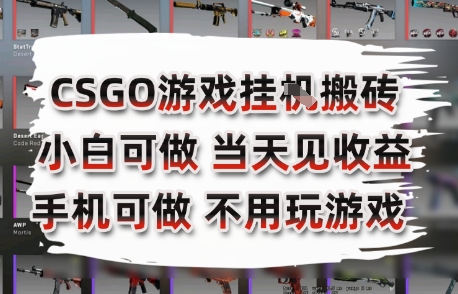 CSGO游戏挂G搬砖，小白纯手机即可操作，不用电脑打游戏，日入3张+，副业网创项目【揭秘】-点点短视频网