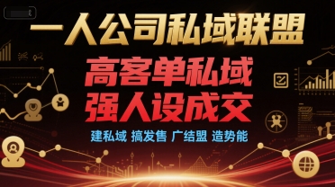 一人公司私域联盟，高客单私域，强人设成交，建私域 搞发售 广结盟 造势能-点点短视频网