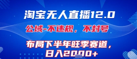淘宝无人直播12.0，不封号，不违规，布局下半年旺季赛道，日入1k+(独家技术)【揭秘】-点点短视频网