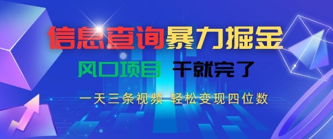 信息查询暴力掘金，一天三条视频，轻松变现四位数，风口项目干就完了【揭秘】-点点短视频网