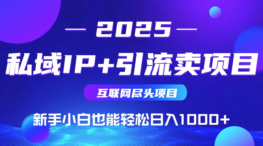 2025网创尽头项目，私域IP+引流，新手小白也能在家日入1000+-点点短视频网