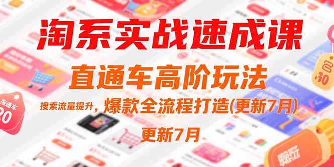 淘系实战速成课，直通车高阶玩法，搜索流量提升，爆款全流程打造(更新7月-点点短视频网