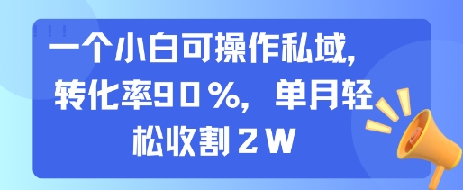 一个小白可操作私域，转化率90%，单月轻松收割2W-点点短视频网