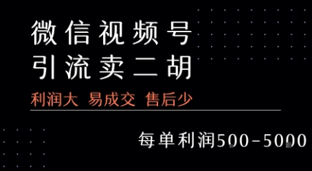 视频号卖二胡教程，利润大 易成交 售后少，一单利润5张+-点点短视频网