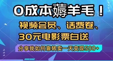 0成本薅羊毛!视频会员、话费卷、30元电影票白送，分享我如何靠转卖一天变现5张+【揭秘】-点点短视频网