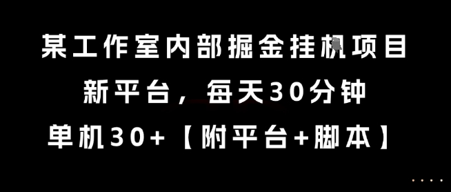 某工作室内部掘金挂G项目，新平台，每天30分钟，单机30+【揭秘】-点点短视频网