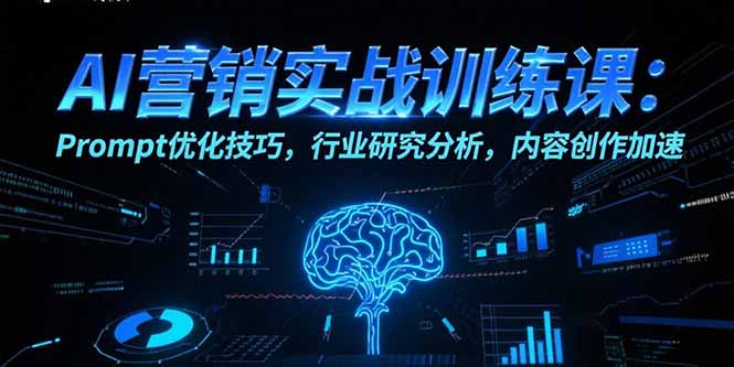 AI营销实战训练课：Prompt优化技巧，行业研究分析，内容创作加速-点点短视频网