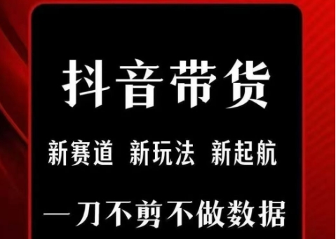 抖音短视频一刀不剪带货，不剪辑，不直播，每天发个视频，等着出单获取带货佣金-点点短视频网