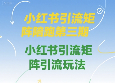 小红书引流矩阵陪跑第三期，小红书引流矩阵引流玩法-点点短视频网