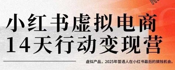 小红书虚拟电商14天变现训练营，虚拟产品，2025年普通人在小红书最后的搞钱机会-点点短视频网