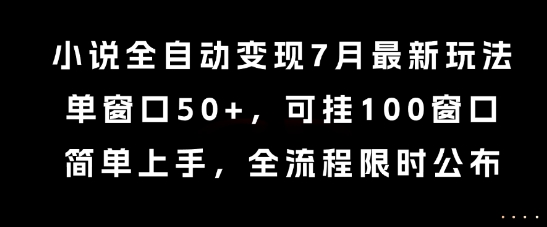 小说全自动变现7月玩法，单窗口50+，可挂100窗口，简单上手，全流程限时公布【揭秘】-点点短视频网