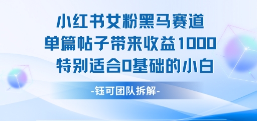 小红书女粉黑马赛道单篇帖子带来收益1k+，特别适合0基础的小白-点点短视频网