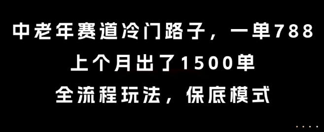中老年赛道冷门路子，一单788，上个月出了1500单，全流程玩法，保底模式【揭秘】-点点短视频网
