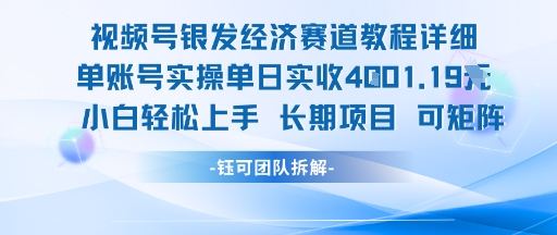 视频号银发经济赛道单账号实操单日实收1k+，小白轻松上手长期项目-点点短视频网