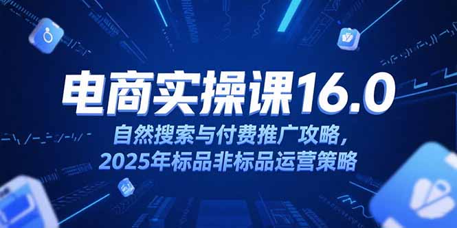 淘宝电商运营课16.0，自然搜索与付费推广攻略，2025年标品非标品运营策略-点点短视频网
