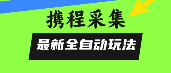 携程信息采集全自动玩法，0风控，无脑开干【揭秘】-点点短视频网