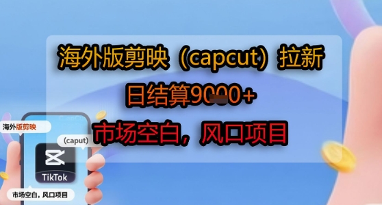 海外版剪映(capcut)拉新，日结算1k+，市场空白，风口项目-点点短视频网