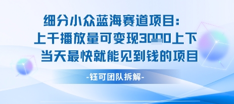 小众蓝海赛道项目：当天变现1k+适合新手操作 +适合长期玩-点点短视频网