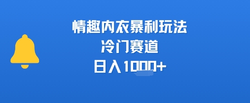 情趣内衣暴利玩法，冷门赛道，日入1k+-点点短视频网