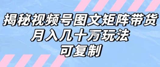 解密视频号图文矩阵带货，月入几个W的打法，可复制-点点短视频网