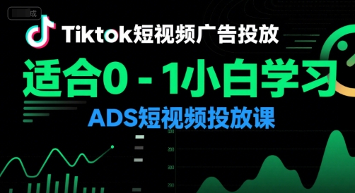 Tiktok短视频广告投放，适合0-1小白学习ADS短视频投放课-点点短视频网