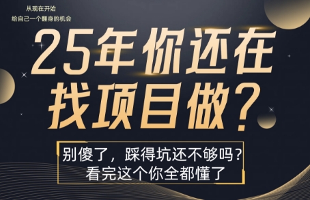 25年，你还在疯狂的找项目吗？别傻了，看完这个你都懂了【揭秘】-点点短视频网