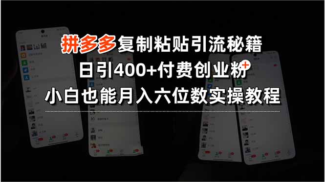 拼多多复制粘贴引流秘籍，日引400+付费创业粉，小白也能月入六位数实操…-点点短视频网