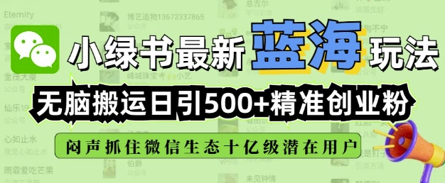 小绿书无脑搬运引流，全自动日引500精准创业粉，微信生态内又一个闷声发财的机会-点点短视频网