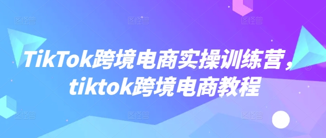 TikTok跨境电商实操训练营，tiktok跨境电商教程-点点短视频网