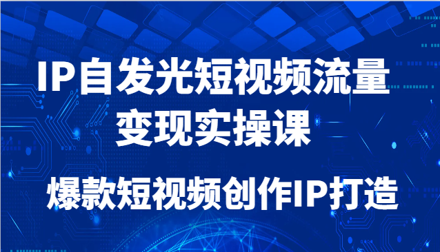 IP自发光短视频流量变现实操课，爆款短视频创作IP打造-点点短视频网