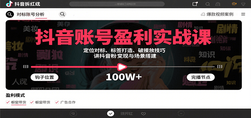 抖音账号盈利实战课，定位对标、标签打造、破播放技巧，讲涨粉变现与场景搭建-点点短视频网