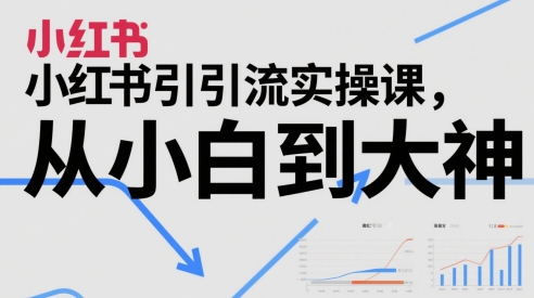 小红书引流实操课，从小白到大神-点点短视频网