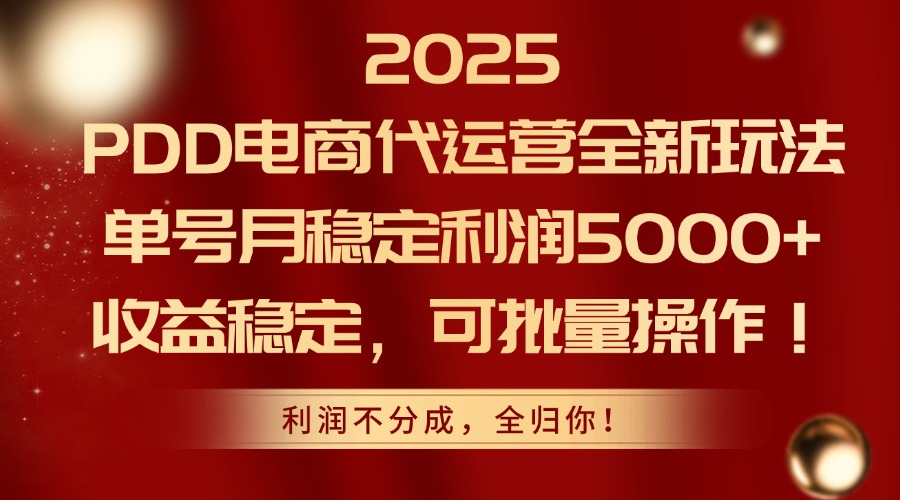 2025PDD电商代运营全新玩法，单号月稳定利润5000+，收益稳定，可批量操作-点点短视频网