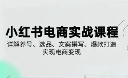小红书从0-1实操课(2023-2025)，详解养号、选品、文案撰写、爆款打造实现电商变现-点点短视频网