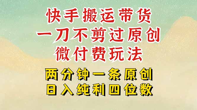 快手黑科技搬运带货，一刀不剪过原创，微付费投流玩法，轻松日入四位数…-点点短视频网
