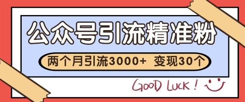公众号精准粉引流玩法，2个月3000+精准粉，变现30个W【揭秘】-点点短视频网