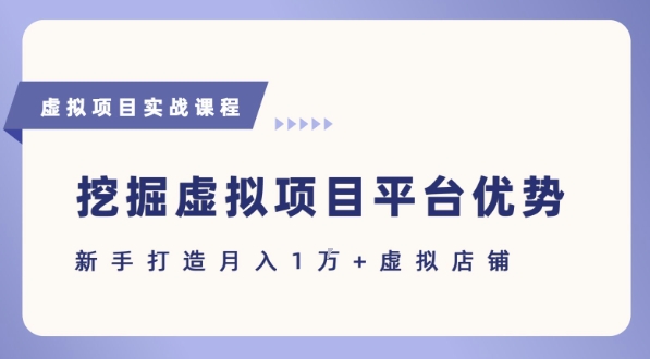 抓住虚拟项目各平台优势，新手轻松月入1W+(给出具体建议)-点点短视频网