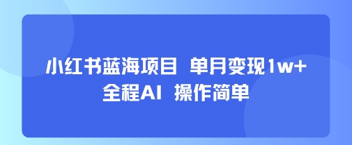 小红书蓝海项目 单月变现1w+ 全程AI 操作简单-点点短视频网