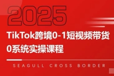 TikTok跨境0-1短视频带货，系统拆解TikTok跨境带货全链路，实现跨境可持续盈利-点点短视频网