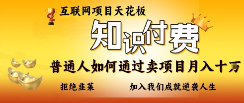 互联网项目天花板，知付付费项目，普通人如何通过卖项目月入十个，拒绝韭菜【揭秘】-点点短视频网