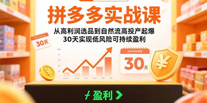拼多多实战课：从高利润选品到自然流高投产起爆 30天实现低风险可持续盈利-点点短视频网