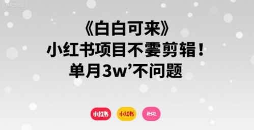 小白可来 小红书项目不需要剪辑 单月3w不是问题-点点短视频网